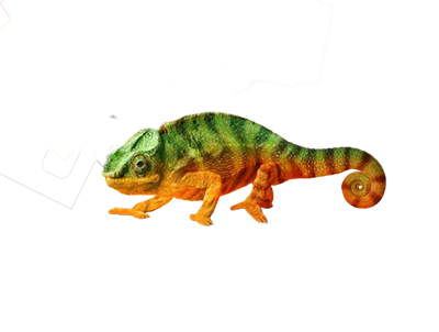 chameleon valspar